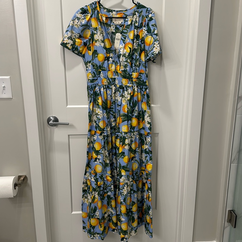 Anthropologie  Maxi never worn 🦋🦋💙 NWT